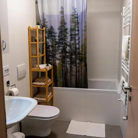 Apartmán Alina Coresi