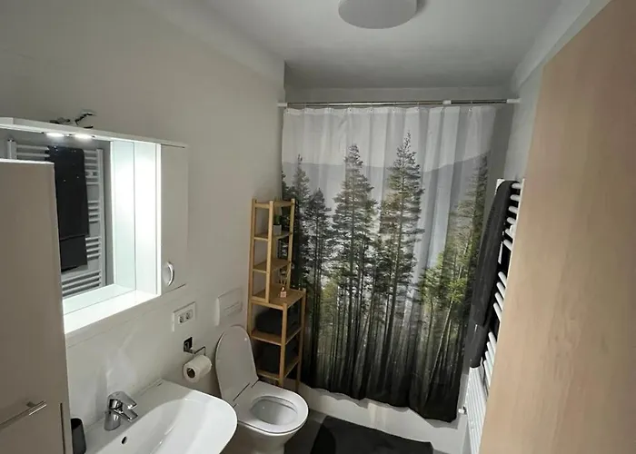 Apartment Alina Coresi Brasov