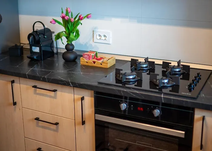 Alina Coresi Appartement