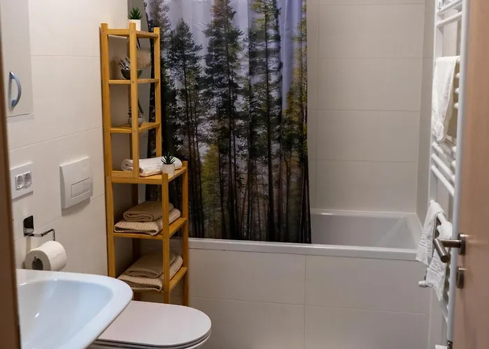 Apartment Alina Coresi