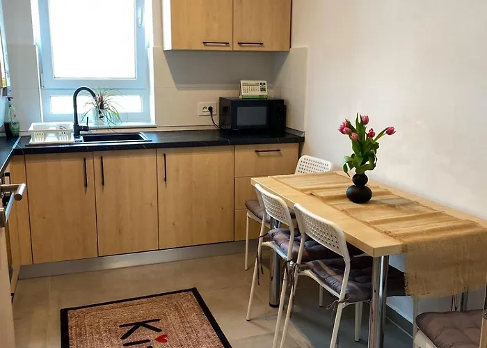 Apartment Alina Coresi