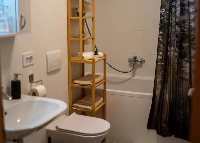 Alina Coresi Apartment Brasov